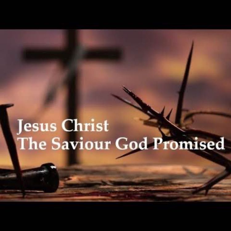 cover art for the Promised Savior Gen. 3:15, Micah 5:2, Isaiah 53