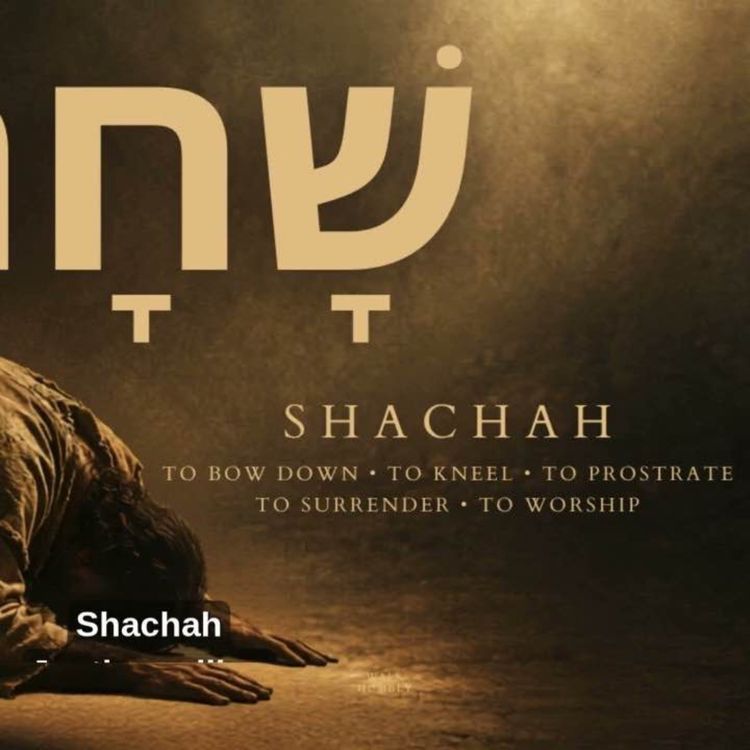 cover art for Worship -Shachah -Exodus 34:14