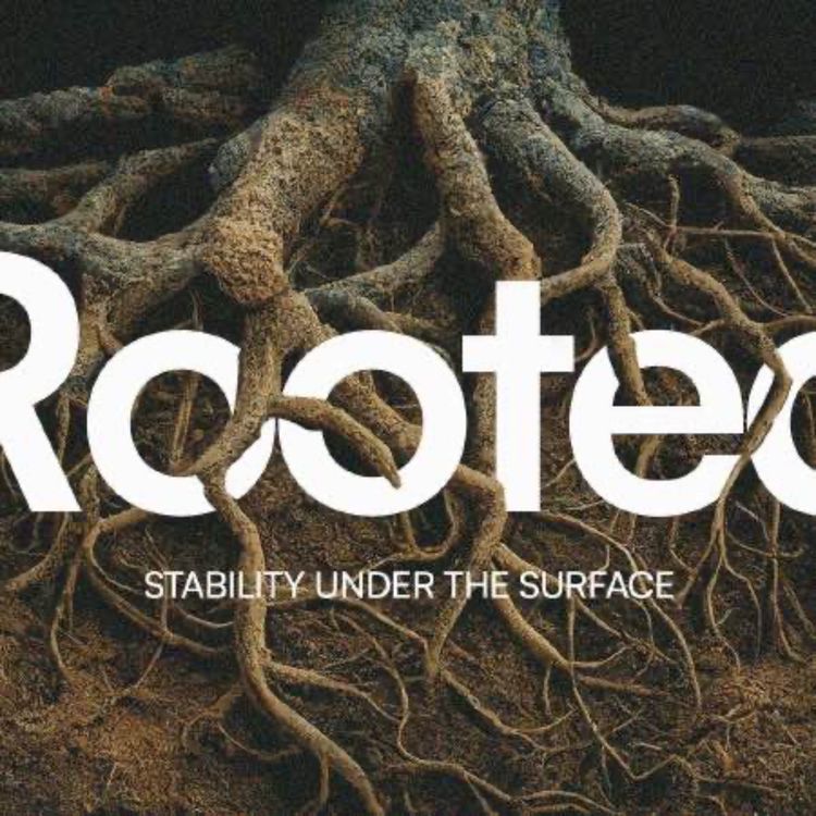 cover art for Rooted in Trust Jeremiah 17:7-8