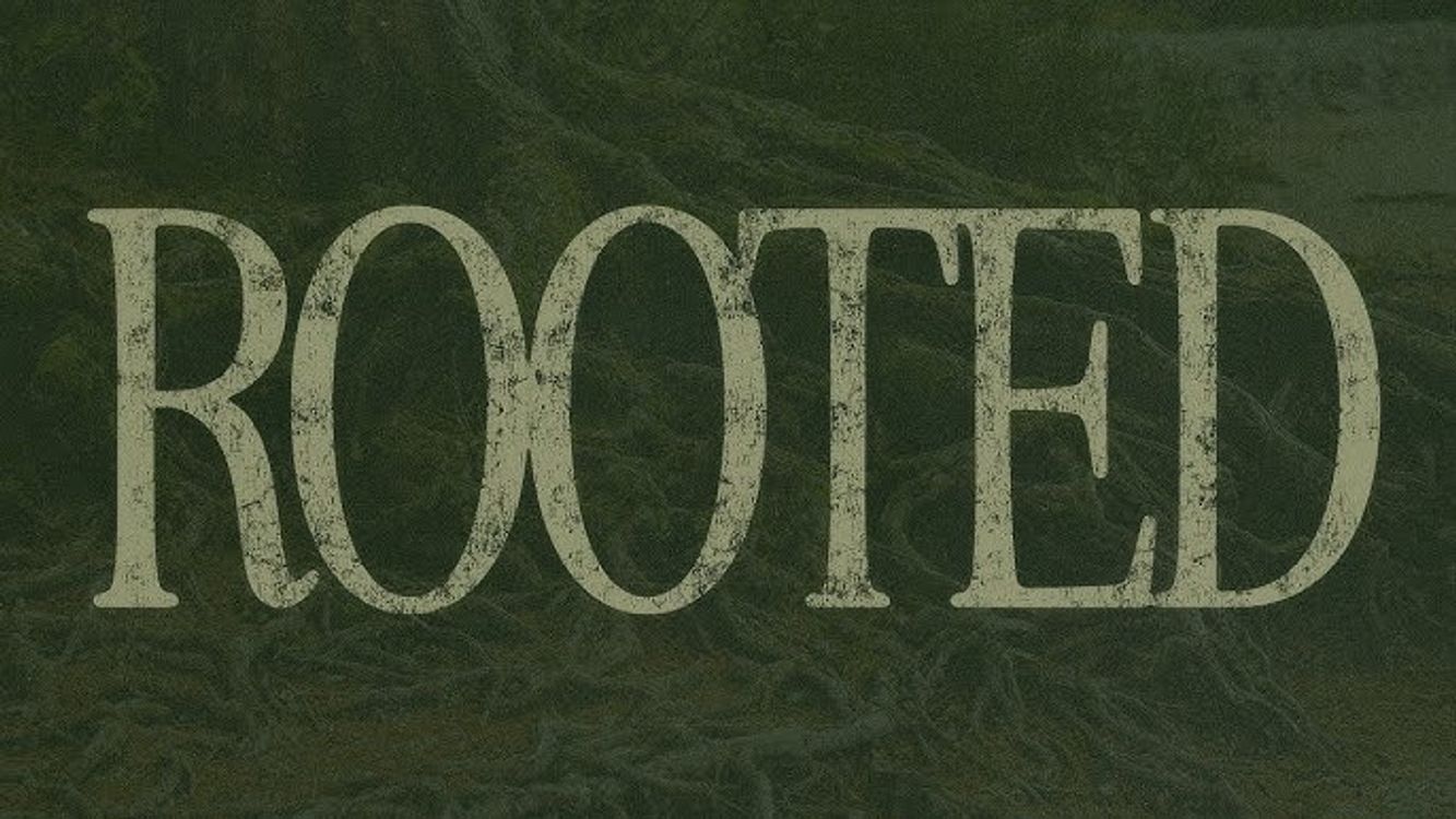 cover art for Rooted through the drought Jeremiah 17:7-8