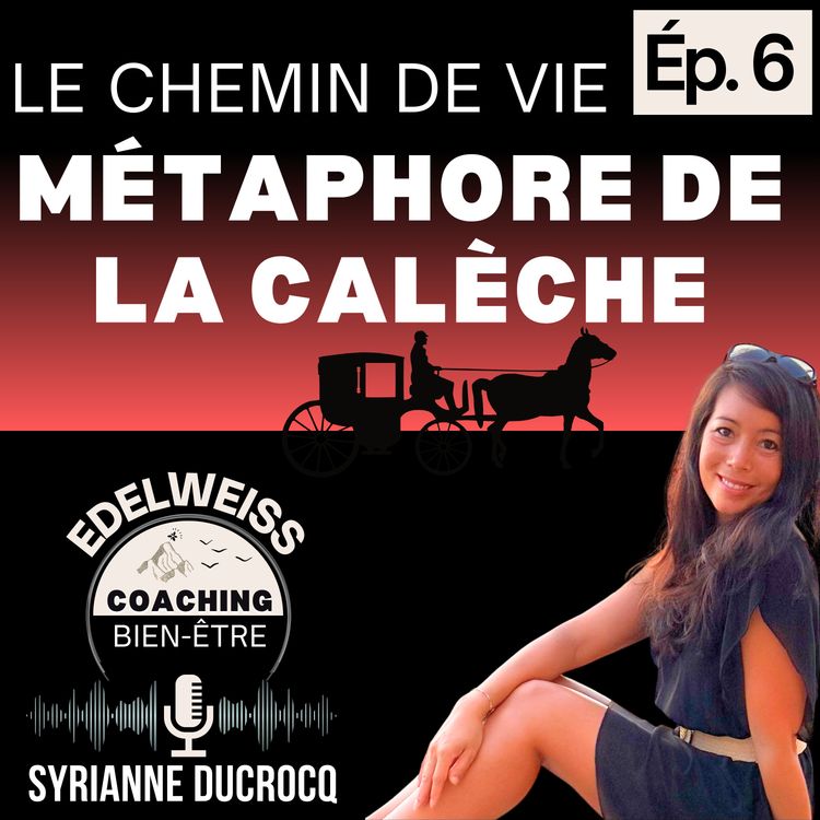 cover art for Chemin de vie : MÉTAPHORE de la CALÈCHE _ Épisode 6