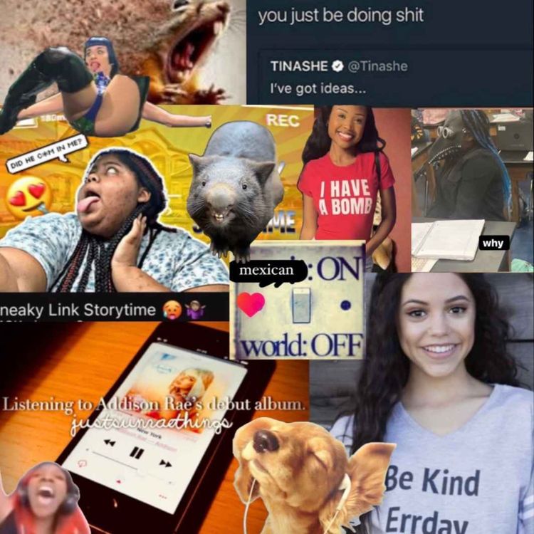 cover art for final seshtination 