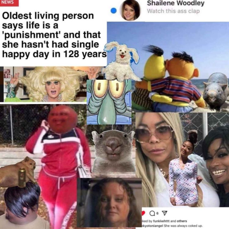 cover art for how to train your trade