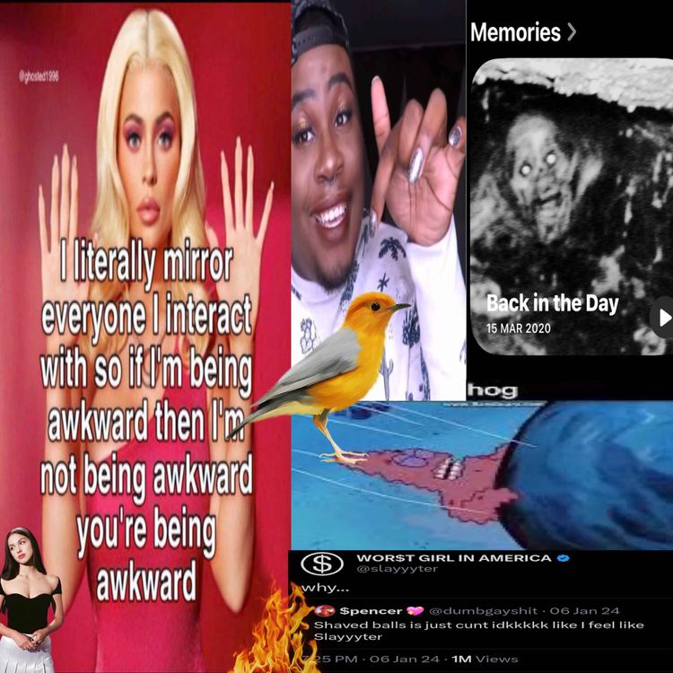 cover art for gay guy bird