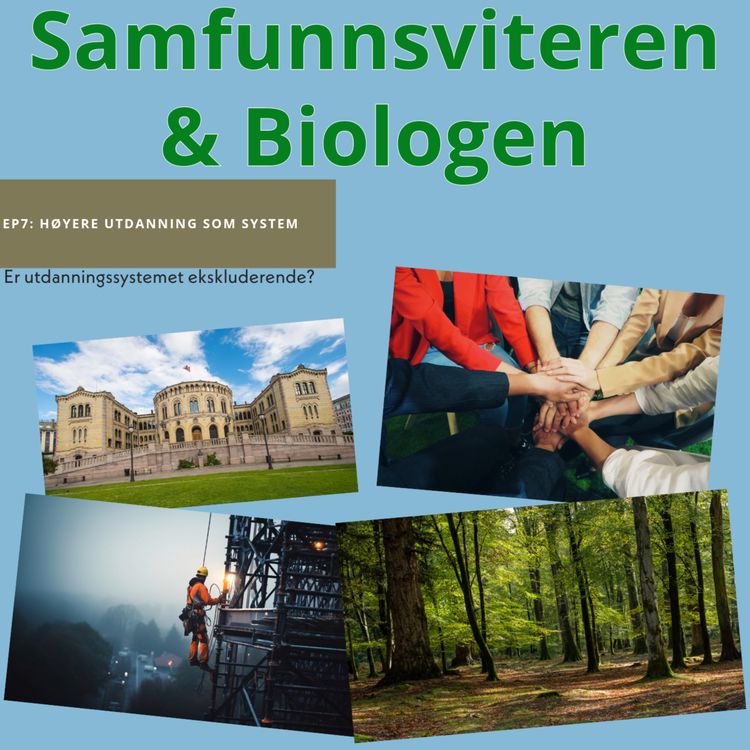 cover art for Ep7: Høyere utdanning som system