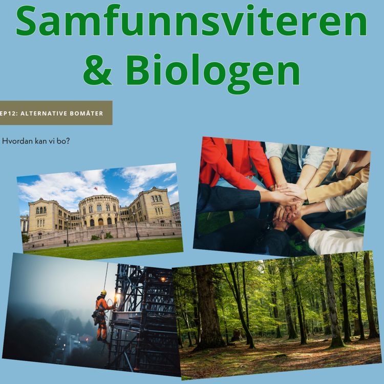 cover art for Alternative bomåter