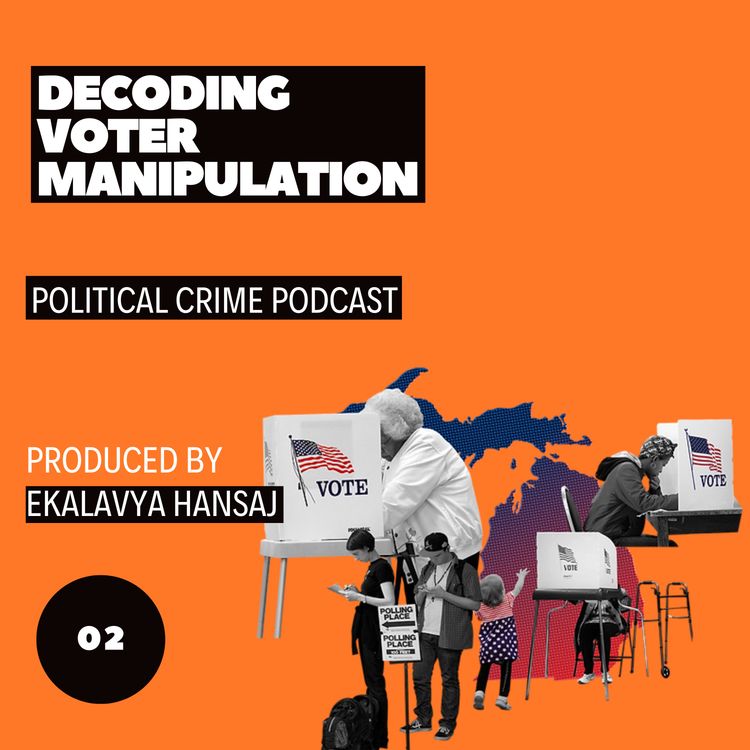 cover art for Decoding Voter Manipulation
