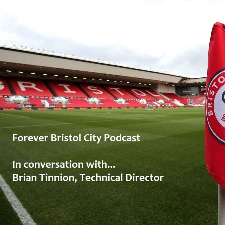 cover art for FBC Special: In conversation with ..... Brian Tinnion, Technical Director