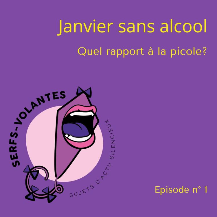 cover art for Episode 1: Janvier sans alcool