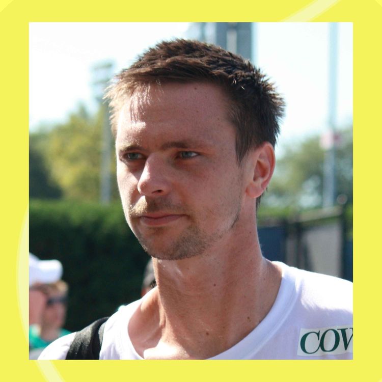 cover art for Robin Söderling, 2011: Den siste sommeren