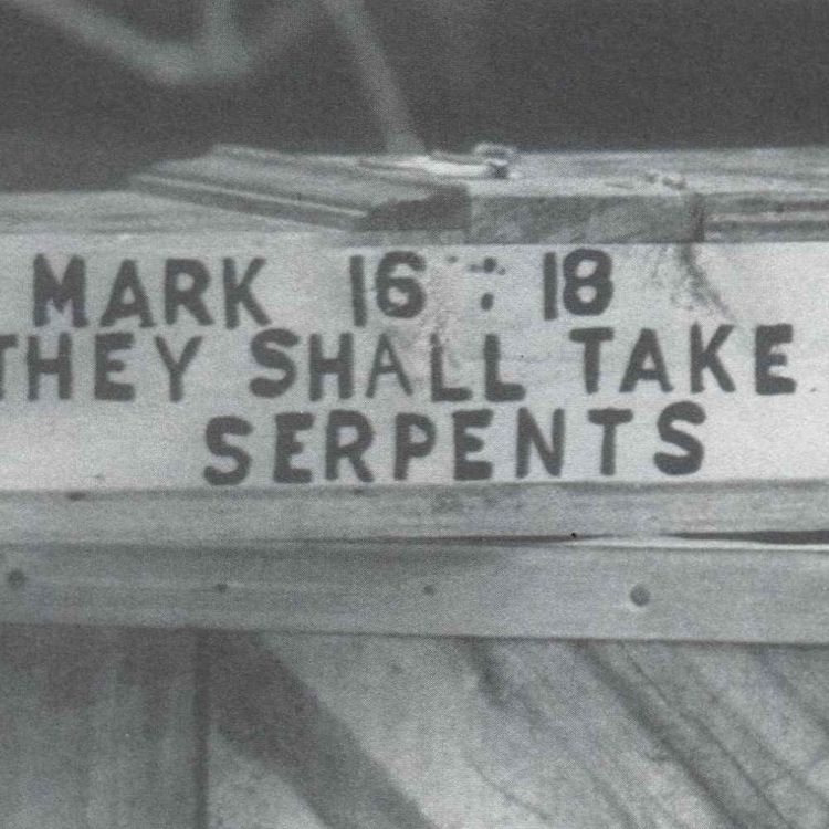 cover art for James D.F. Hannah - They Shall Take up Serpents