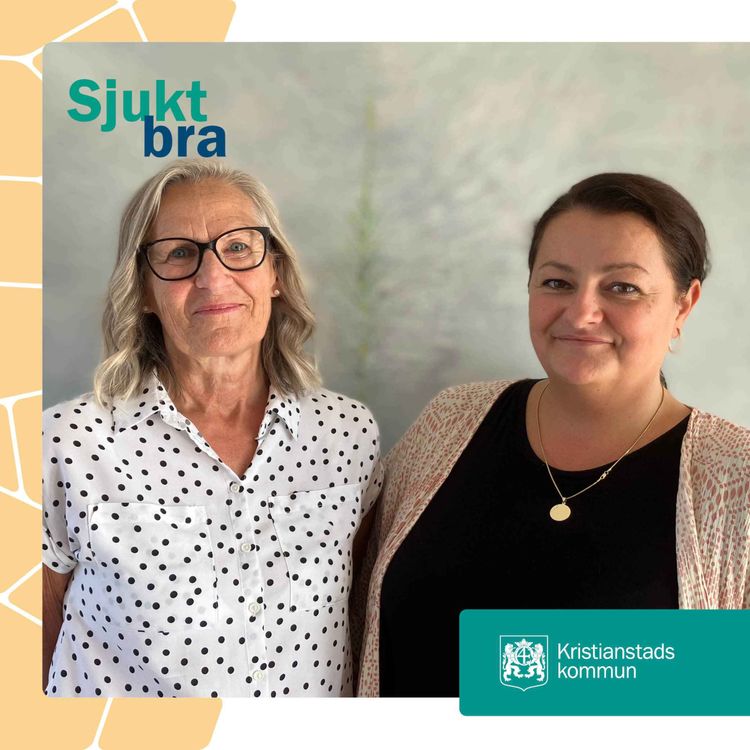 cover art for 20. Planerare - en viktig kugge i omsorgsförvaltningen.