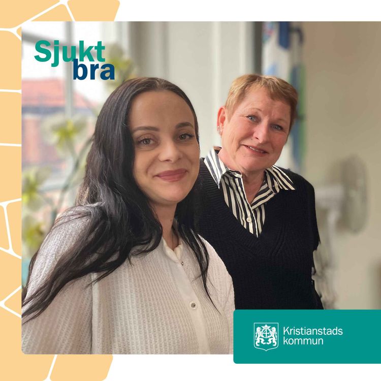 cover art for 34. Nationell patientöversikt (NPÖ)