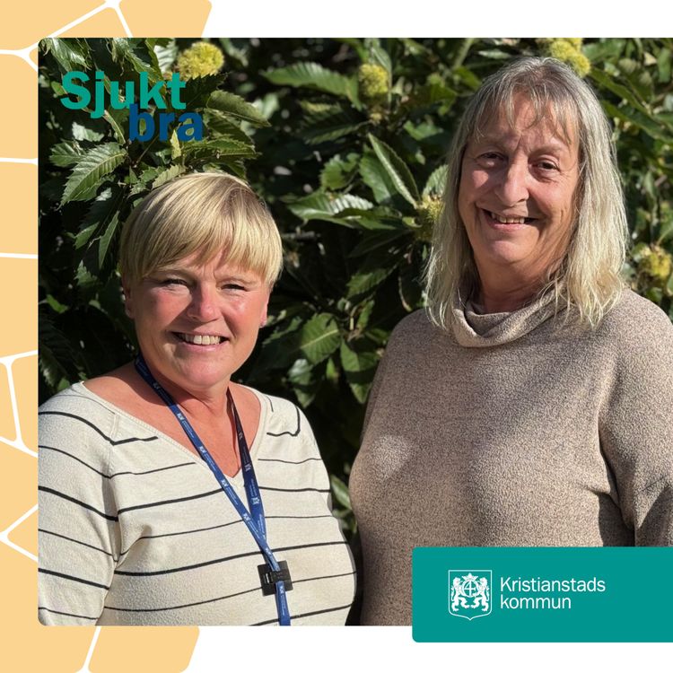 cover art for 46. Använd kompetensen rätt