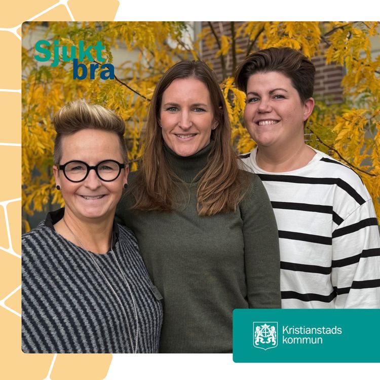 cover art for 47. Digital rehabilitering