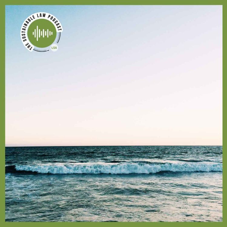 cover art for The Elephants on the Horizon