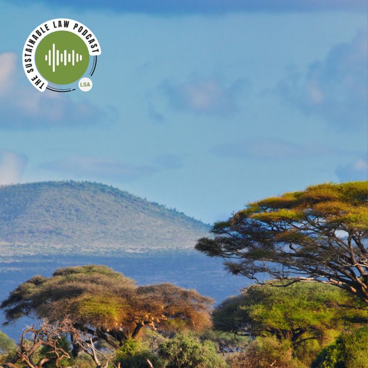 cover art for The Socially Imaginative Lawyer