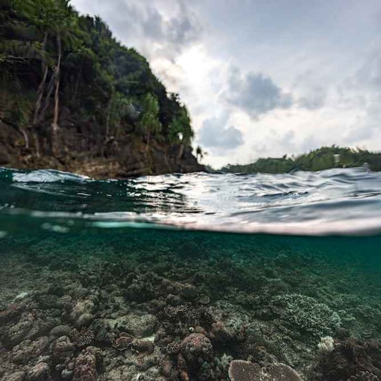 cover art for The Making of Ocean 