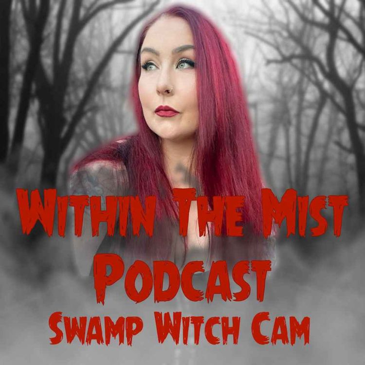 cover art for Swamp Witch Cam