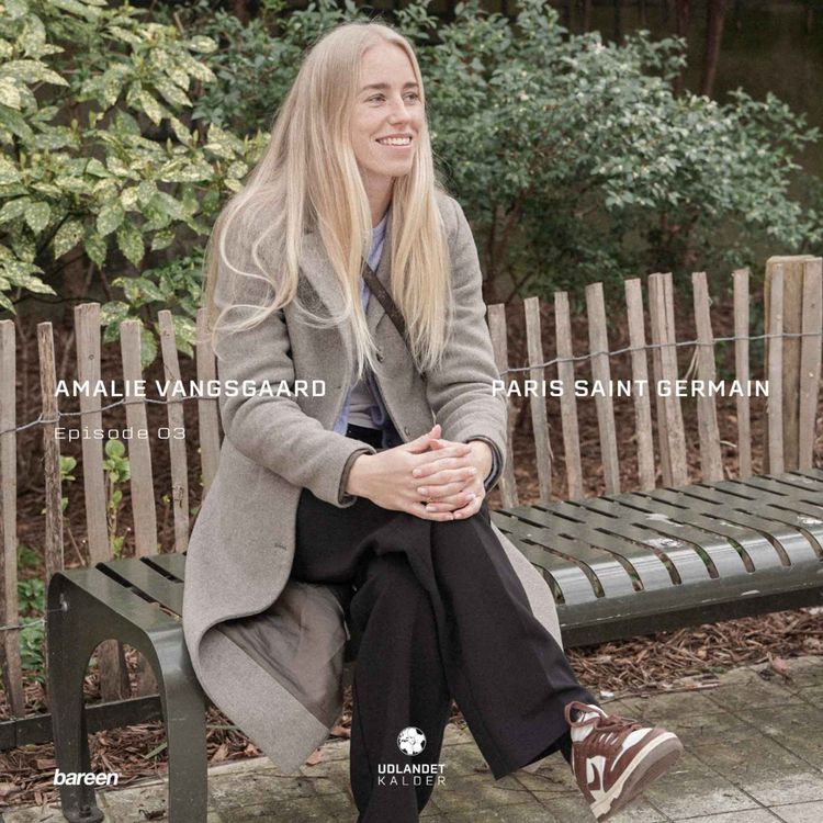 cover art for 03 | Amalie Vangsgaard