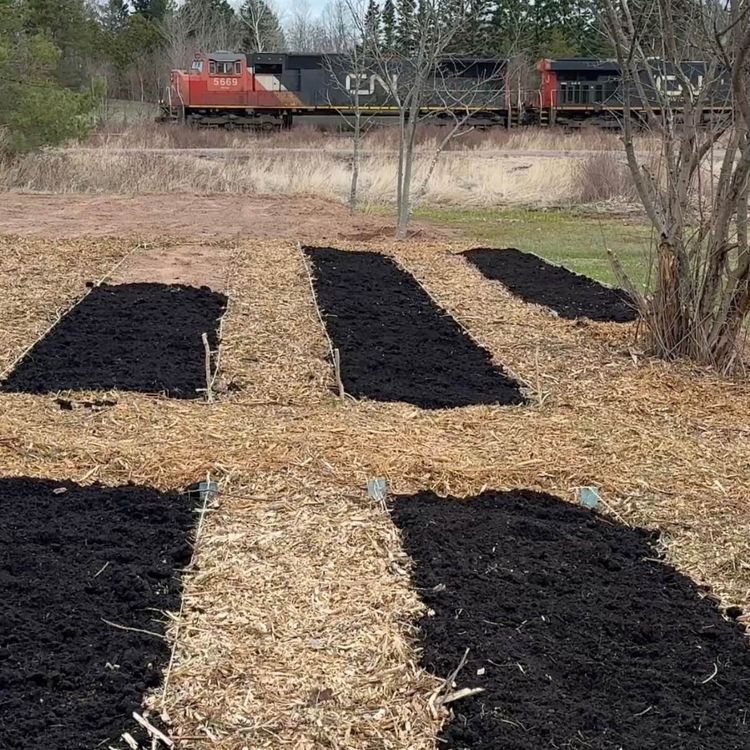 cover art for Building or Expanding Garden Beds