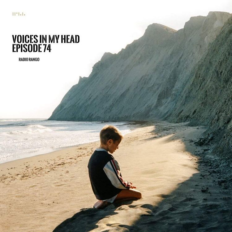 cover art for Voices In My Head _ Episode 74