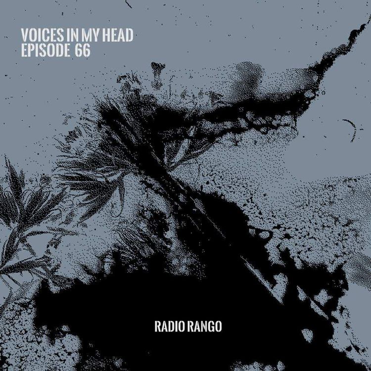 cover art for Voices In My Head _ Episode 66