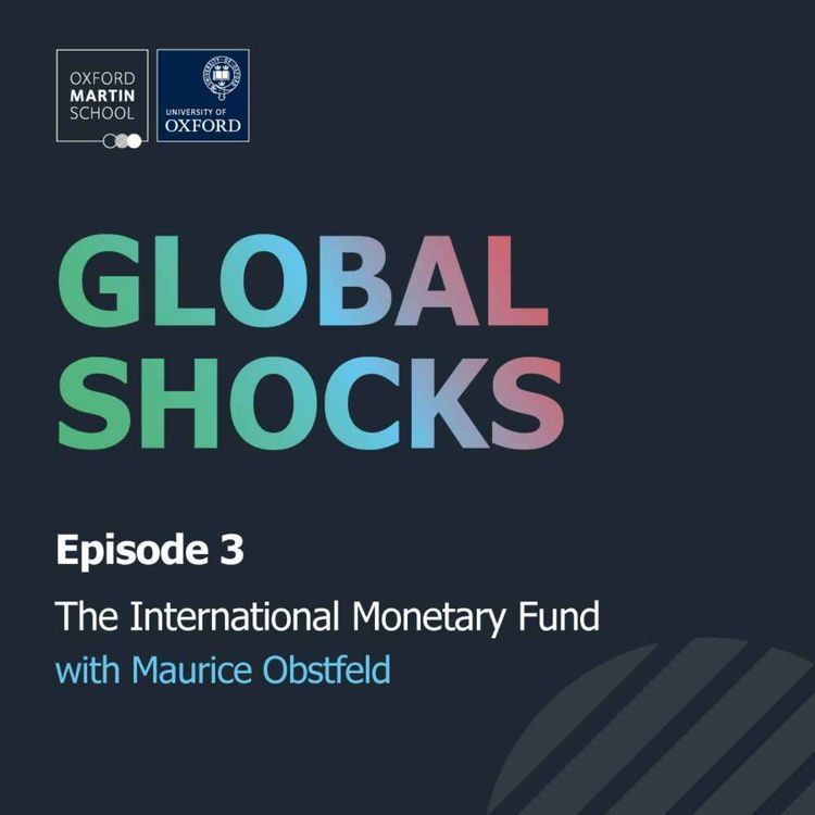 cover art for The International Monetary Fund