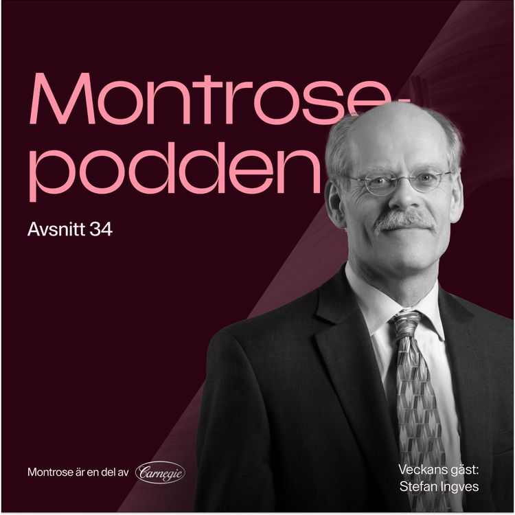 cover art for #34 - Stefan Ingves: En penningpolitisk odyssé från finanskris till pandemi och globala räddningsuppdrag