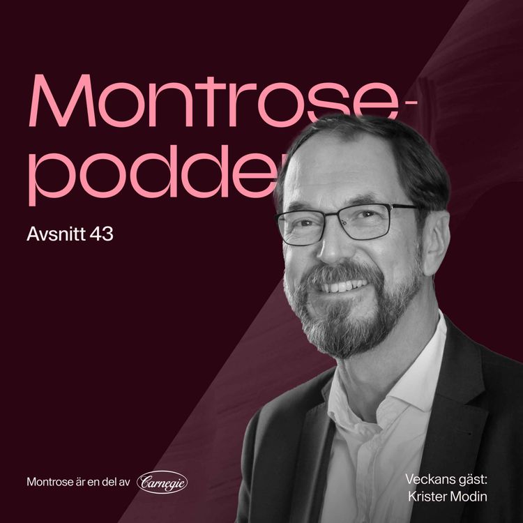 cover art for #43 - Nästan allt du behöver veta om svenska folkaktieportföljen 2024 med Euroclears Krister Modin