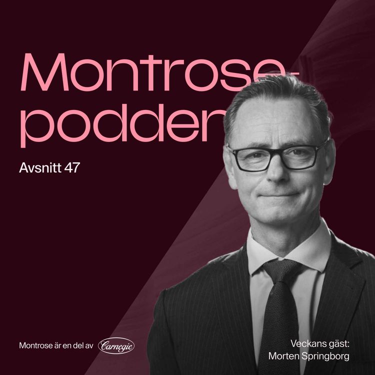 cover art for #47 - Morten Springborg: hotet mot US Exceptionalism och vad det innebär för passiva indexflöden!