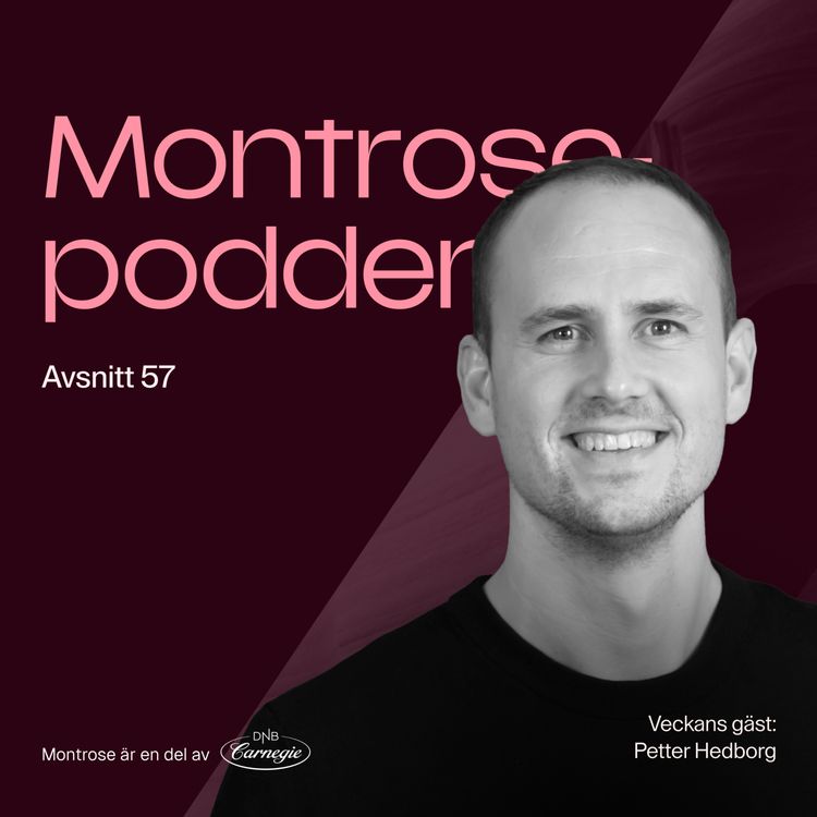 cover art for #57 - Nästan allt du behöver veta om insynshandel med Modular Finance vd Petter Hedborg