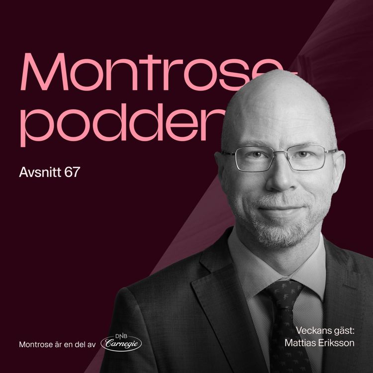 cover art for #67 - Köp rätt aktier: Mattias Eriksson om sin nya bok som ska hjälpa oss hitta framgångsrika bolag och värdera dem!