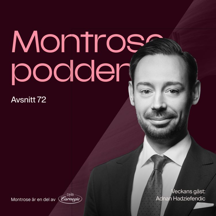 cover art for #72 - Hemligheten bakom börsens mest framgångsrika compounders med Adnan Hadziefendic