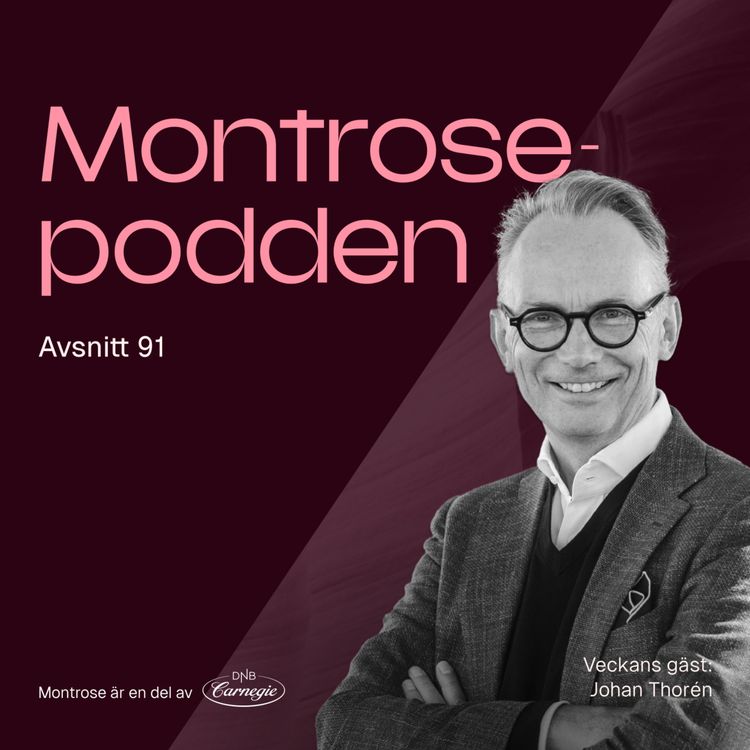 cover art for #91 - Johan Thorén: Fondflödenas förbannelse, Storytels Spotifyboost och flygande mattan i Rugvista