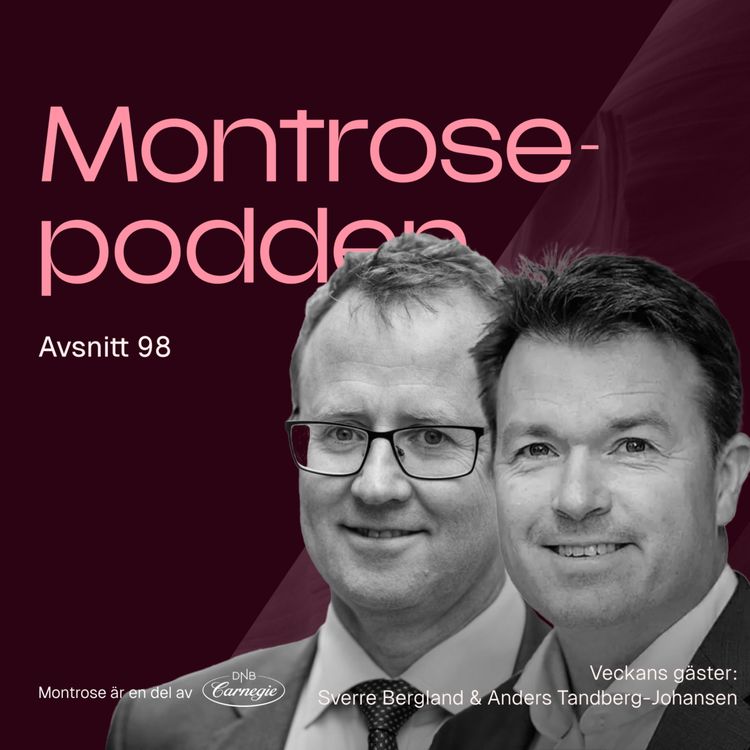 cover art for #98 - Framgångsreceptet bakom DNB Teknologifond som gett +18,4% CAGR sen 2001