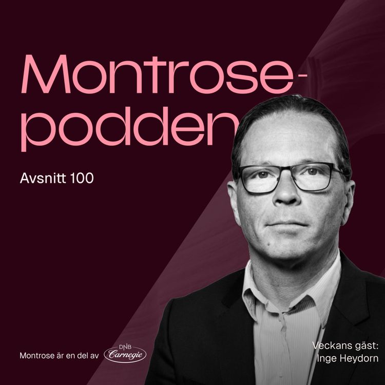 cover art for #100 - Nästan allt du behöver veta om AI-revolutionen med techförvaltaren Inge Heydorn