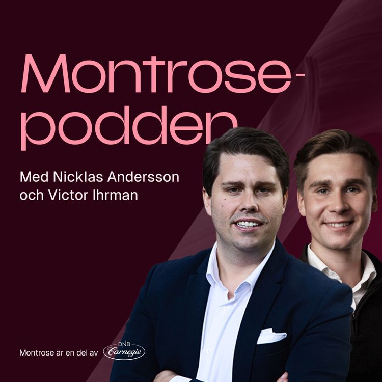 cover art for #132 - Historisk nedgångssvit på börsen och Nicklas sommarspaningar från kontinenten