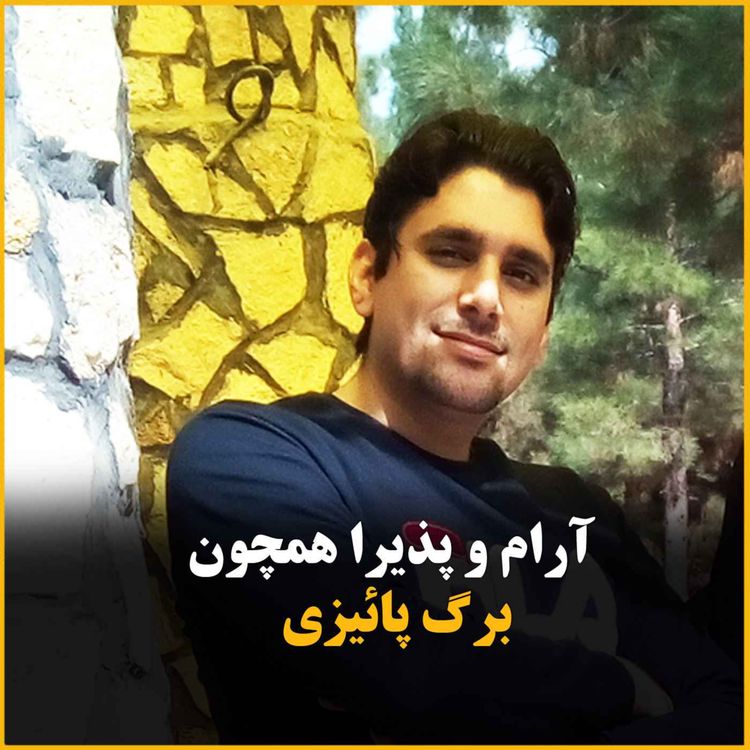 cover art for  آرام و پذیرا همچون برگ های پائیزی + تمرین ذهنی آرامش بخش