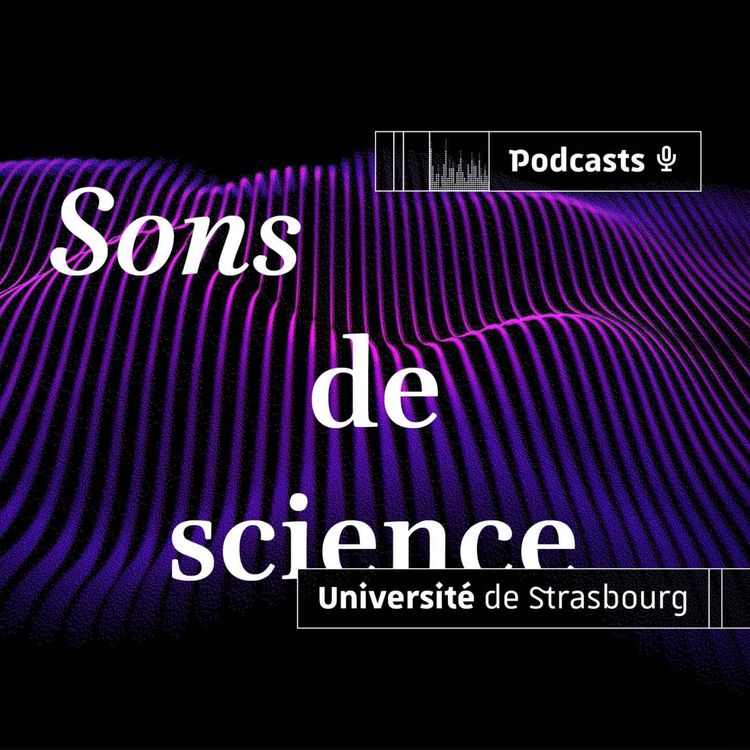 cover art for Le son... d'un glissement de terrain à l'autre bout de la planète