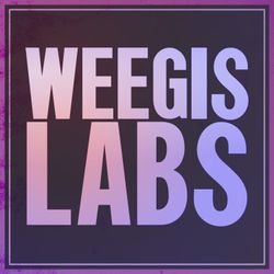 cover art for WGIS LABS