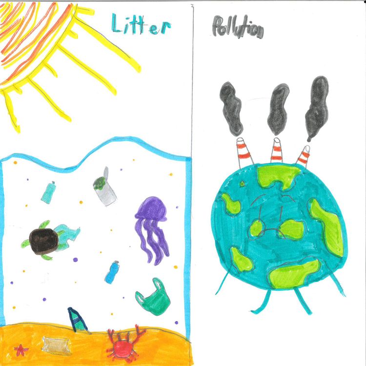 cover art for Litter & Pollution