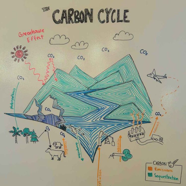 cover art for Introduction