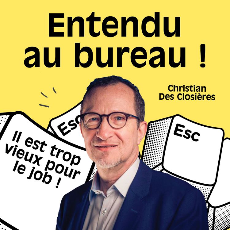 cover art for IL EST TROP VIEUX POUR LE JOB !