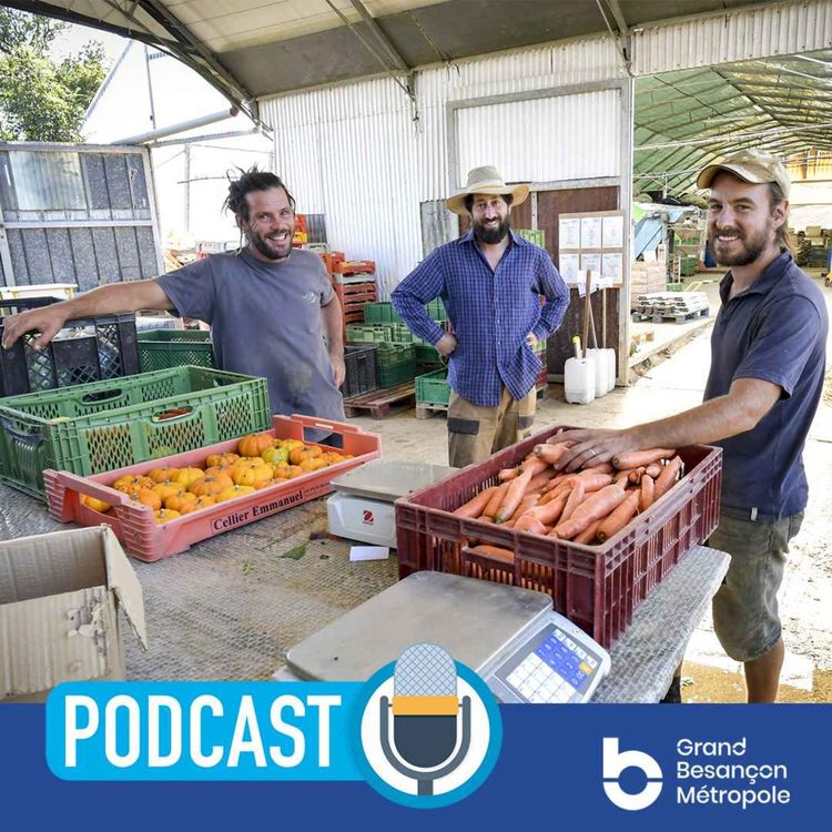 cover art for Les circuits alimentaires de proximité