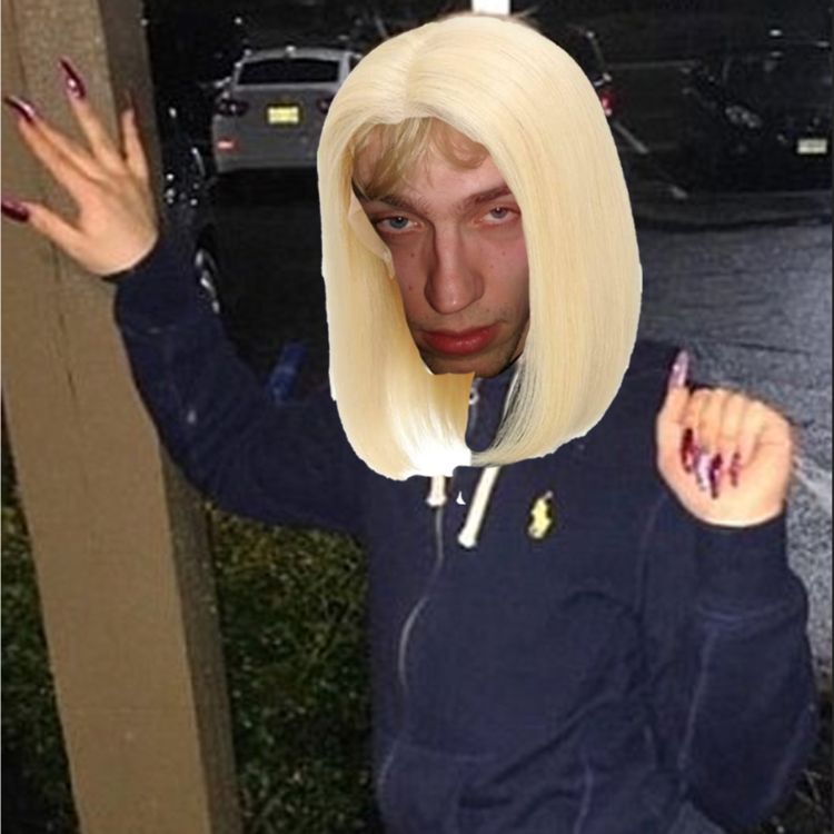 cover art for WHO IS THE ALPHA?