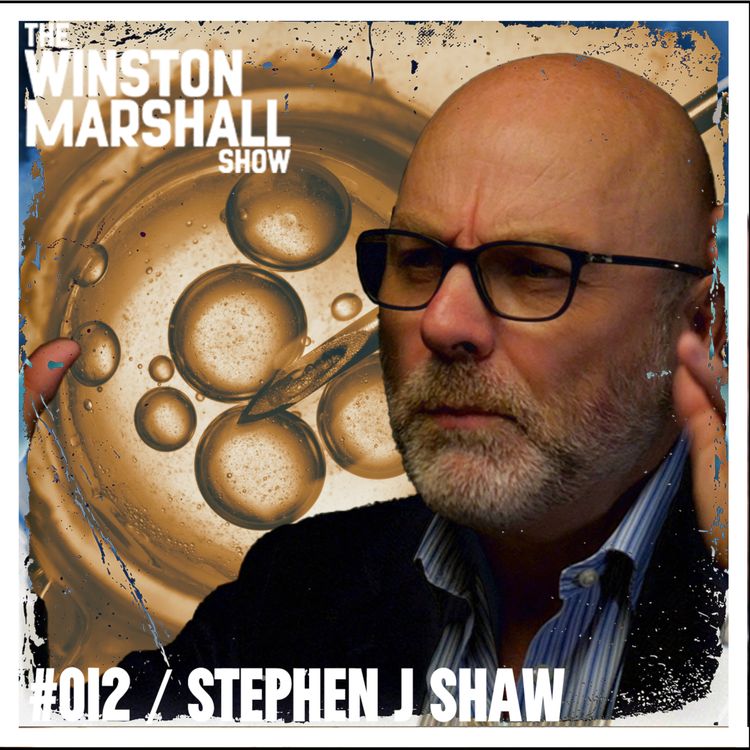 cover art for Stephen J Shaw - "Civilisations End!" The Childlessness Crisis