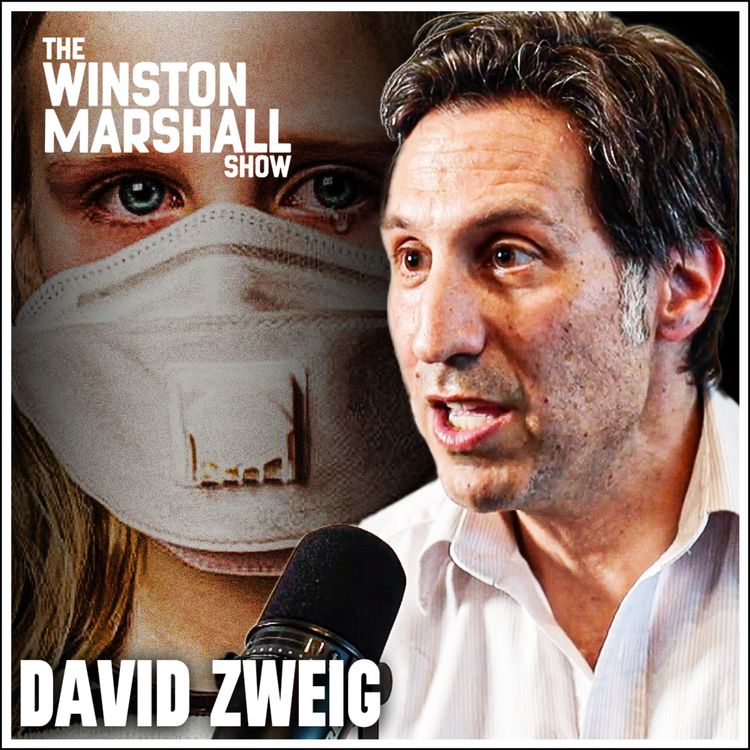 cover art for David Zweig - The Damaged Generation: How Lockdown Damaged 50 Million Children For Life