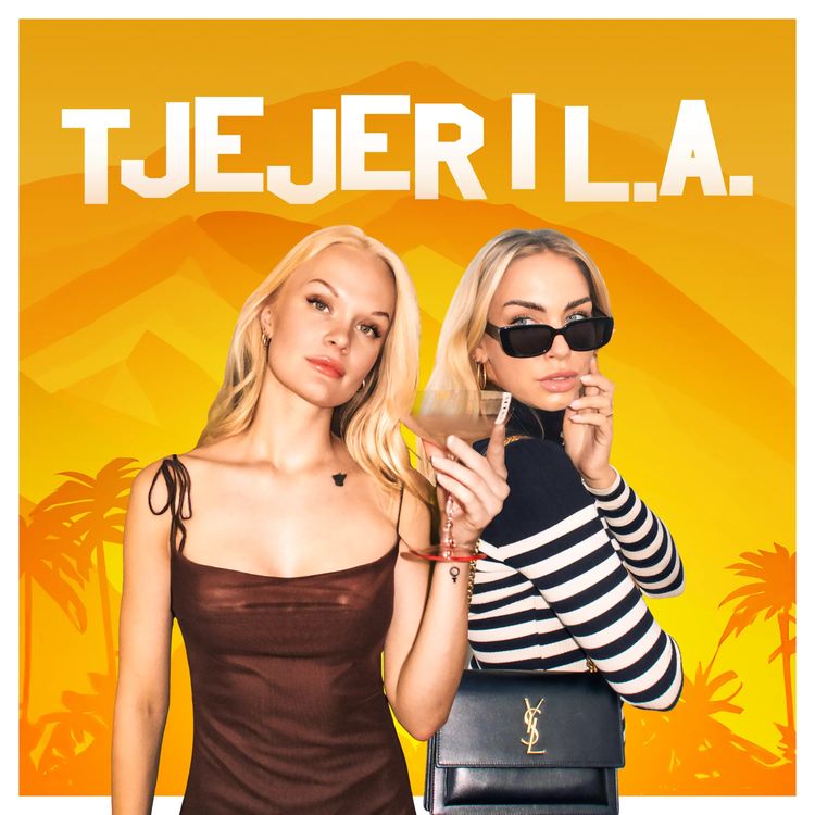 cover art for 20. VI TAR EN PAUS