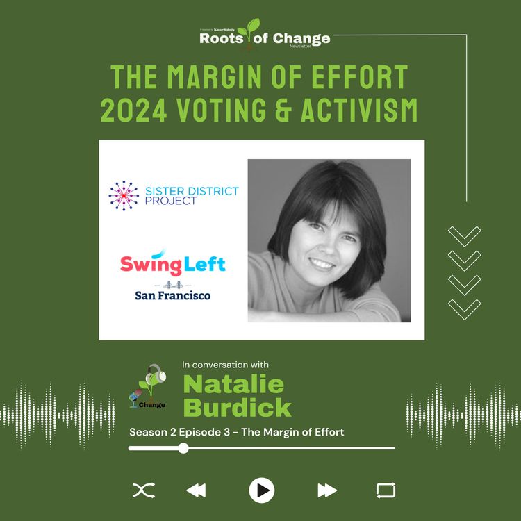 cover art for The Margin of Effort | 2024 Voting & Activism